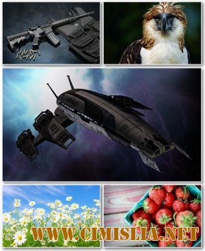 Обои для рабочего стола - Разное [2012]