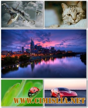 Обои для рабочего стола - Разное [2012]