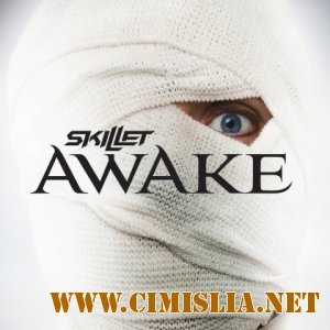 Skillet - Awake [2009 / MP3 / 320 kb]