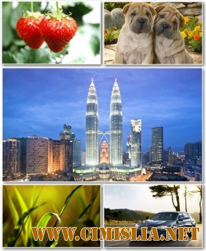 Обои для рабочего стола - Разное [2012]