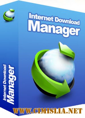 Internet Download Manager 6.28 Build 9 [RePack] [2017 / MULTi / ENG / RUS]