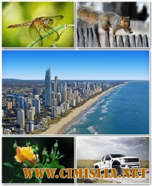 Обои для рабочего стола - Разное [2012]