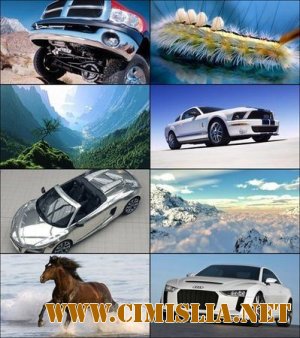 Обои для рабочего стола - Разное [2012]