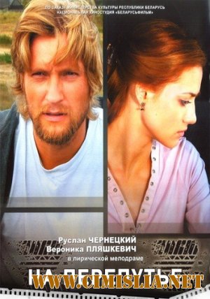 На перепутье [2012 / SATRip]