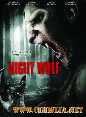 Ночной волк / Night Wolf [2012 / DVDRip | ENG]