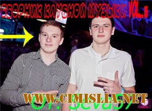 Сборник Клубной Музыки Vol.5 [2012 / MP3 / 256-320 KB]