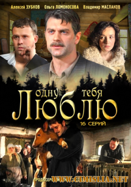 Одну тебя люблю [01-16 серия из 16] [2012 / SATRip]