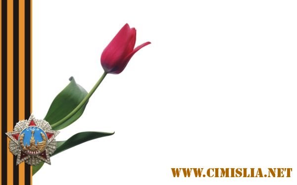 Обои для Рабочего стола - 9 Mai - Ziua Victoriei / 9 Мая - День Победы [2009-2010]