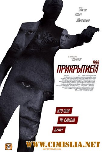 Под прикрытием [01-12 серии из 12] [2012 / DVDRip | Лицензия]