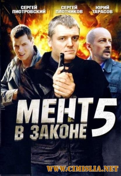 Мент в законе 5 [01-24 серии из 24] [2012 / SATRip]