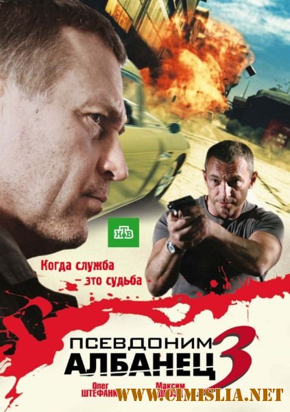 Псевдоним Албанец 3 [Cерия 1-16 из 16] [2010 / DVDRip]