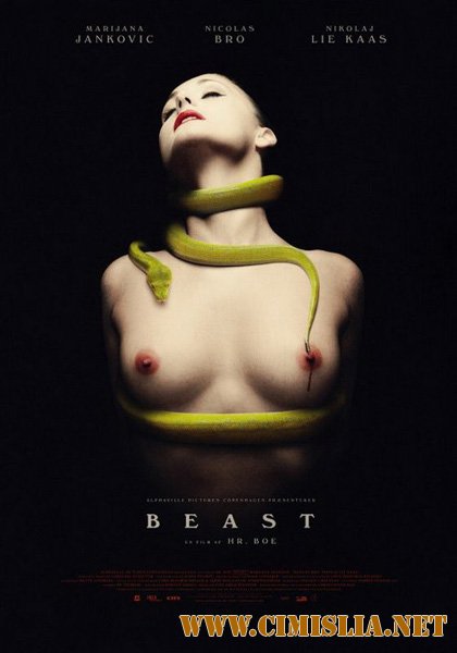 Зверь / Чудовище / Beast [2011 / DVDRip]
