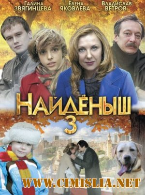 Найденыш-3 [01-04 серия из 04] [2012 / DVDRip | Лицензия]