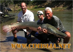 Речные монстры