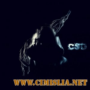 Carla's Dreams - Hobson's Choice [2012 / MP3 / 320 kb]