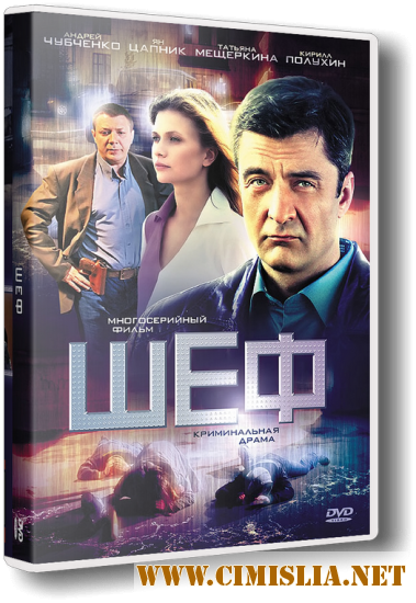 Шеф [Серия 01-24 из 24] [2012 / SatRip]