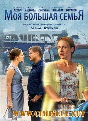 Моя большая семья [Cерия 01-12 из 12] [2012 / SATRip]