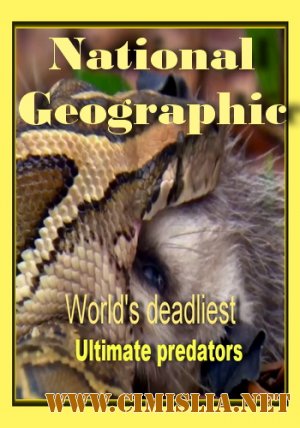 N.G : Самые опасные животные : Сильнейшие хищники / World's deadliest : Ultimate predators [2010 / HDTVRip]