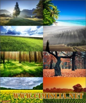 Обои для рабочего стола - Разное [2012]