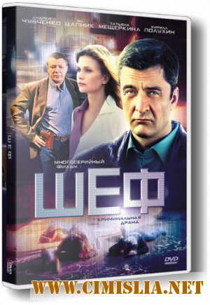 Шеф [Серия 01-24 из 24] [2012 / SatRip]