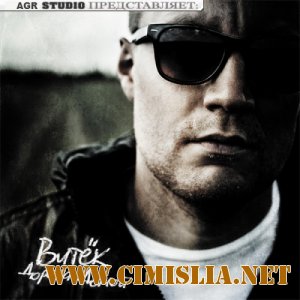 Витёк - Дорога домой [2012 / MP3 / 320 kb]