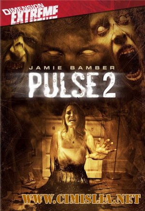 Пульс 2 / Pulse 2: Afterlife [2008 / DVDRip]
