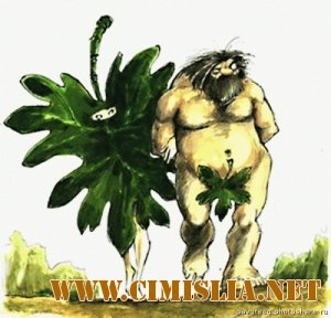 Pavgreeg - Rises [2012 / MP3 / 320 kb]