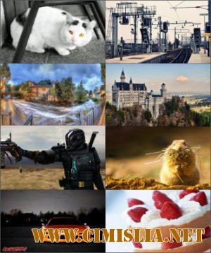 Обои для рабочего стола - Разное [2012]