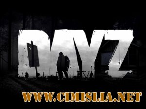 DayZ mod / Arma II / Дейз мод / Арма 2 [L] [2012 / RUS / ENG]