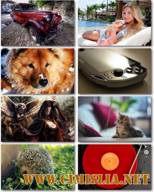 Обои для рабочего стола - Разное [2012]