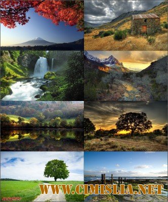 Обои для рабочего стола - Разное [2012]