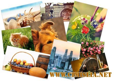 Обои для рабочего стола - Разное [2012]