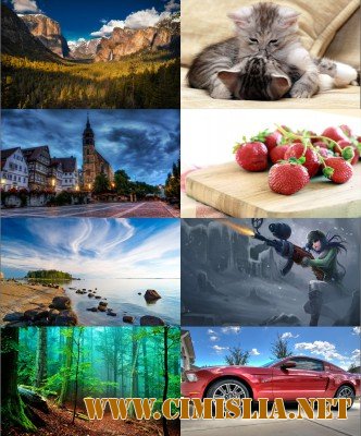 Обои для рабочего стола - Разное [2012]