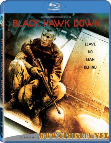 Падение Черного ястреба / Black Hawk Down [2001 / HDRip]