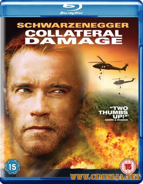 Возмещение ущерба / Collateral Damage [2002 / BDRip]