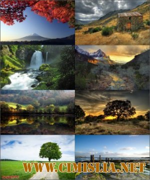 Обои для рабочего стола - Разное [2012]