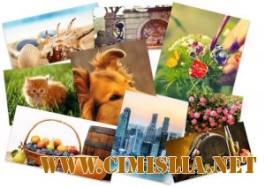 Обои для рабочего стола - Разное [2012]