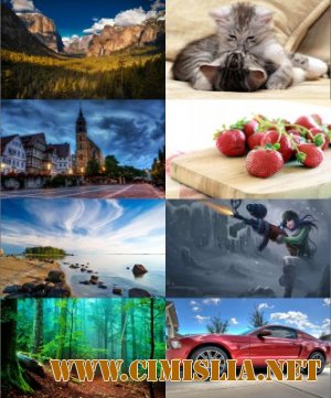 Обои для рабочего стола - Разное [2012]