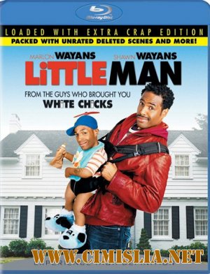 Шалун / Little Man [2006 / BDRip]
