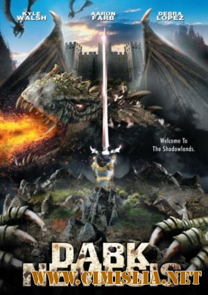 Немезис / Dark Nemesis / The Dark Knight [2010 / HDRip | Лицензия]