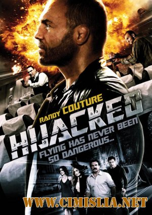 Угон самолета / Hijacked [2012 / HDRip | Лицензия]