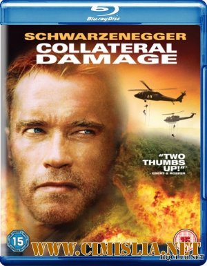 Возмещение ущерба / Collateral Damage [2002 / BDRip]
