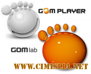 GOM Player 2.2.77 Build 5240 Final [2016 / RUS]