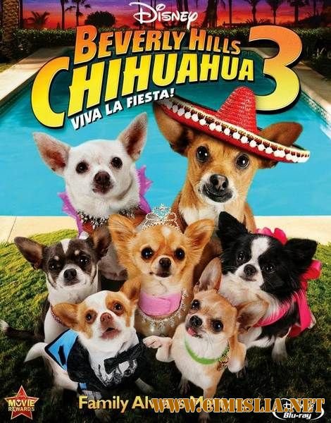 Крошка из Беверли-Хиллз 3 / Beverly Hills Chihuahua 3: Viva La Fiesta! [2012 / DVDRip | Лицензия]