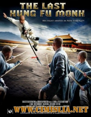 Последний боец Шаолиня / Last Kung Fu Monk [2010 / DVDRip | Лицензия]