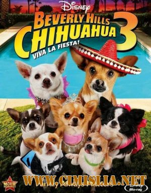 Крошка из Беверли-Хиллз 3 / Beverly Hills Chihuahua 3: Viva La Fiesta! [2012 / DVDRip | Лицензия]