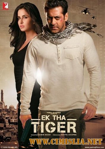 Жил-был тигр / Ek Tha Tiger [2012 / BDRip]