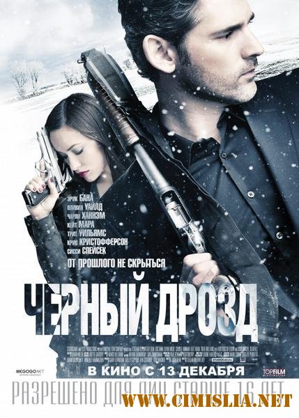 Черный дрозд / Deadfall [2012 / HDRip | Лицензия]