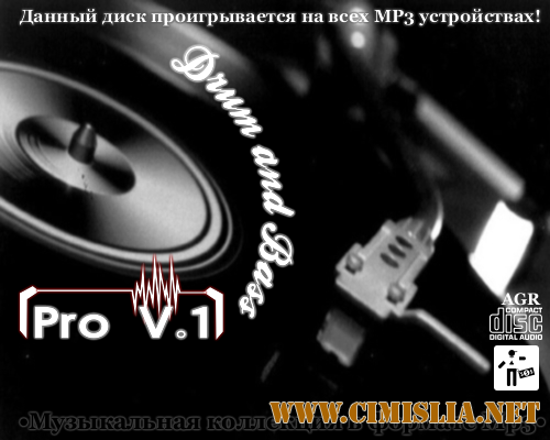 Drum and Bass Pro V.1 [2012 / MP3 / 320 kb]