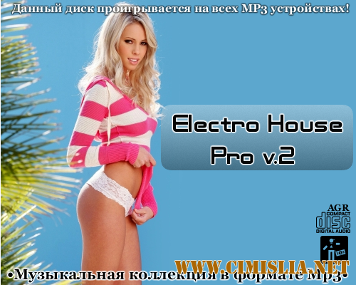 Electro House Pro V.2 [2012 / MP3 / 320 kb]